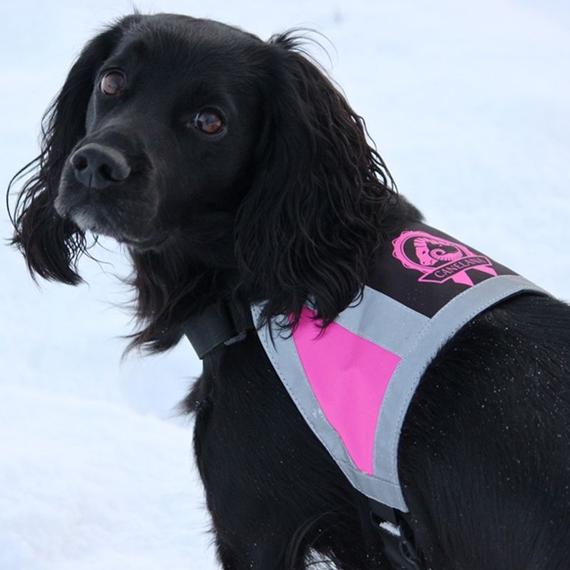 Canelana reflective vest