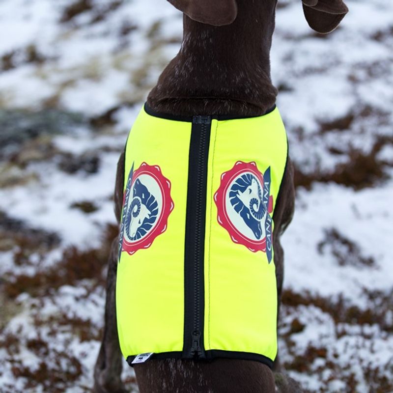 Neon - Protection vest with 100% wool lining dog