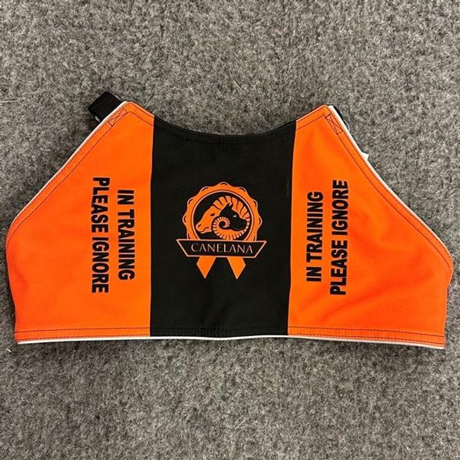 Hovedbilde Canelana markeringsdekken-vest hund: in training ...