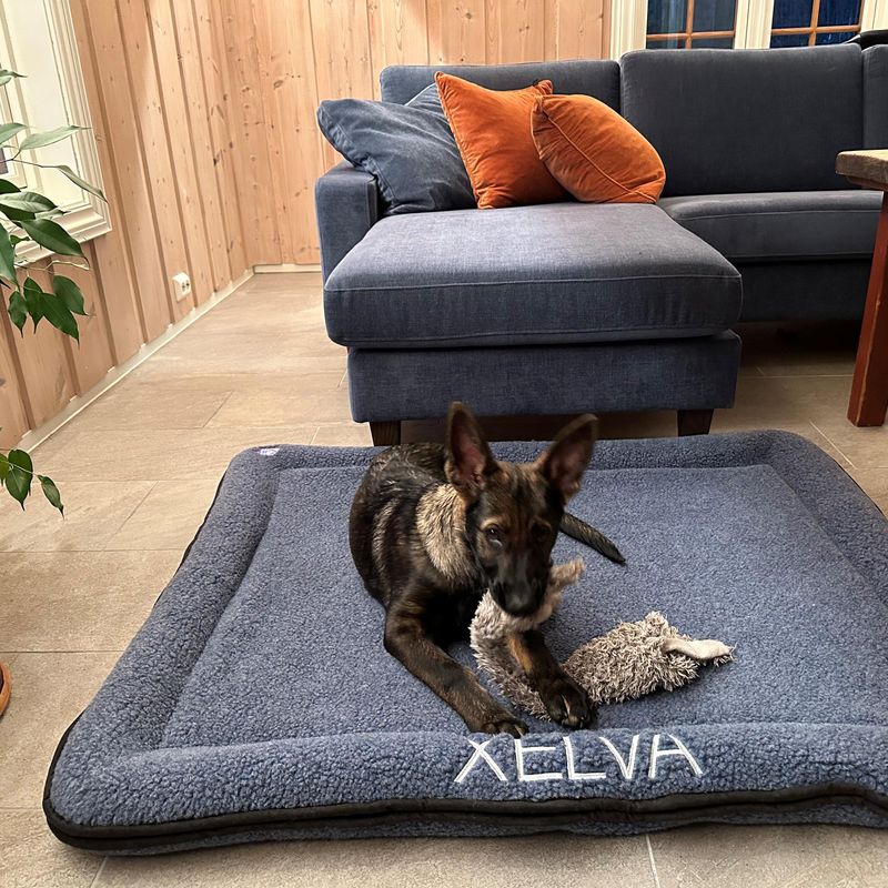 Canelana 100% ull seng hund i bestilt farge og/eller brodert nav