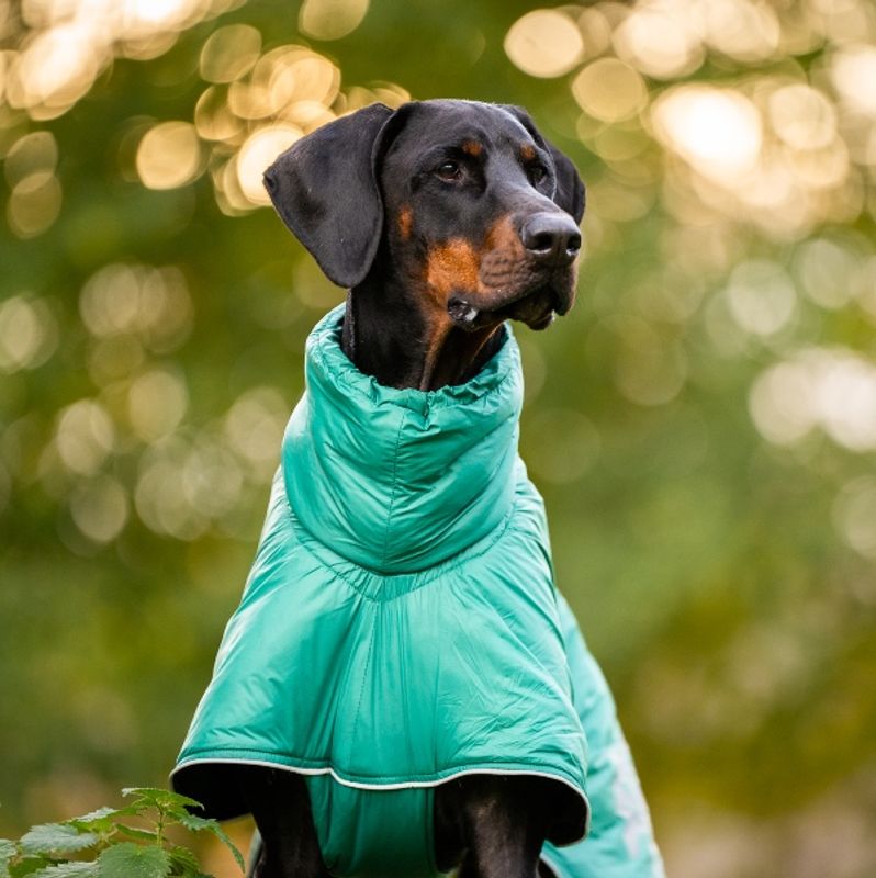 Active - aktivitetsdekken med høy hals og ullfor