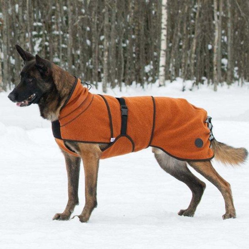 Delta - wool coat dog