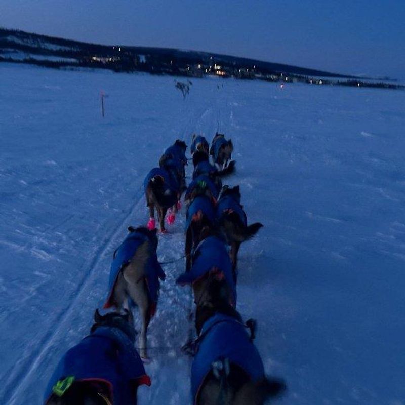 Canelana Racing - 12+ pcs