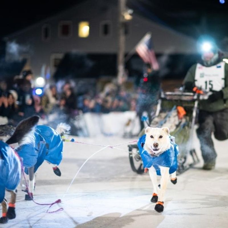 Canelana Racing 8-11 stk 