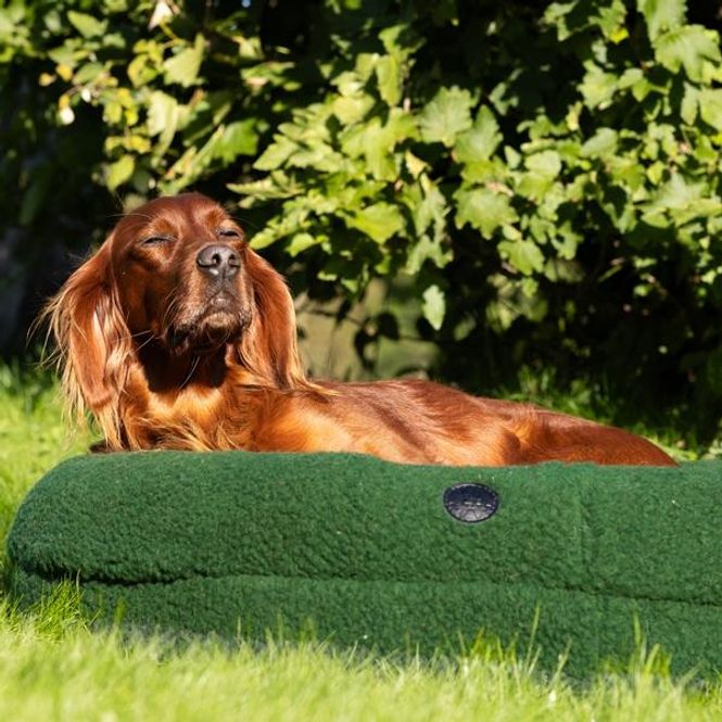 Hovedbilde Canelana rund hundeseng 100% ull spesial bestilt ...