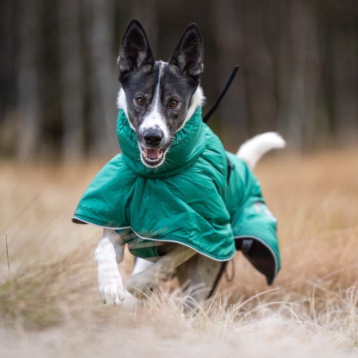 Active - activity coat with high collar and wool lining