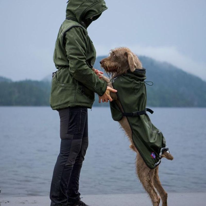 Cover grønn vind-/regndekken hund