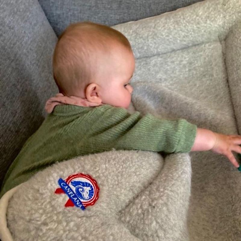 Canelana ull babynest