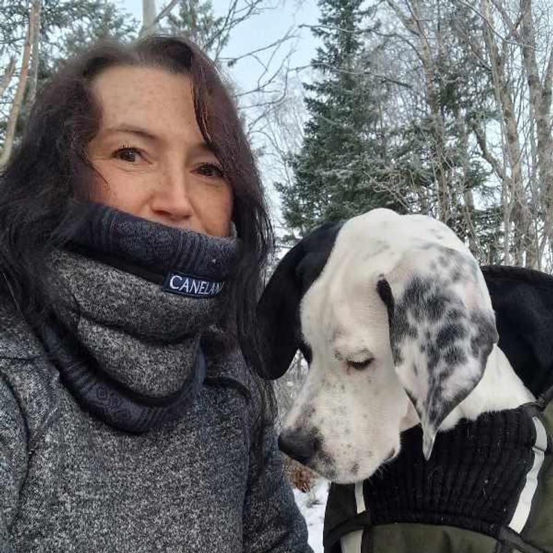 Nome wool neck warmer