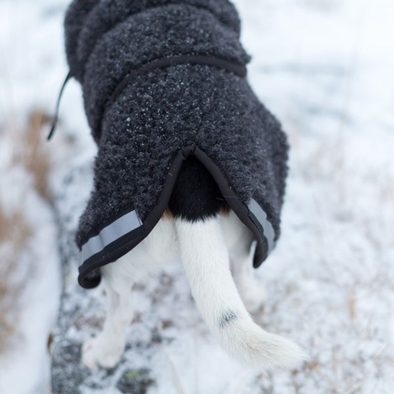 Selva wool coat dog