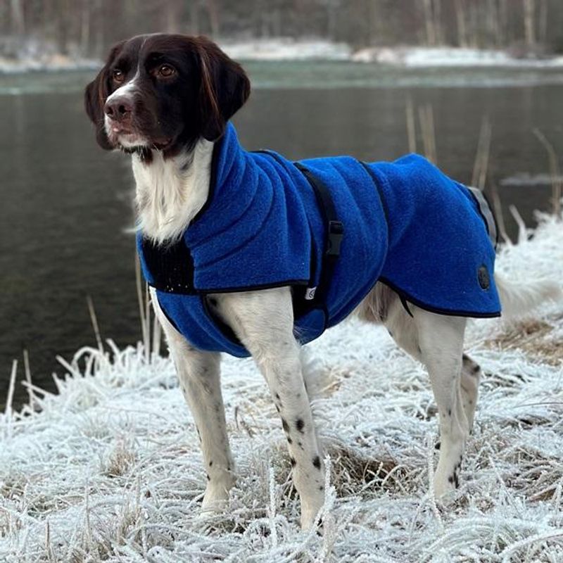 Lana blue - thin wool dog coat