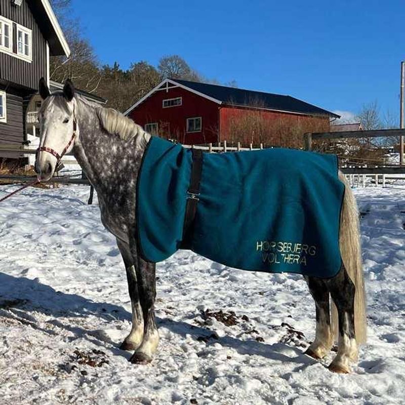 Ull-pledd hest - bestillingsprodukt